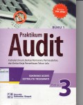 Praktikum Audit (Instruksi Umum, Berkas Permanen, Permasalahan, dan Kertas Kerja Pemeriksaan Tahun Lalu